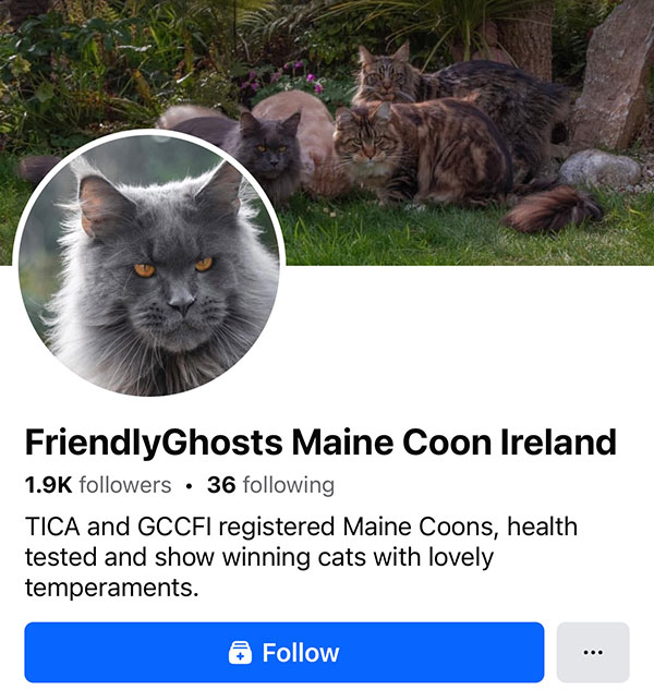 FriendlyGhost Facebook