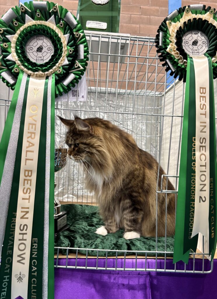 Quevega Best in Show