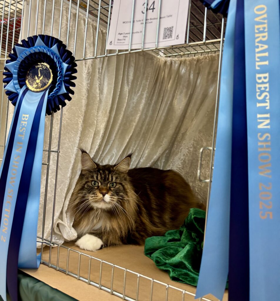 Quevega Best in Show